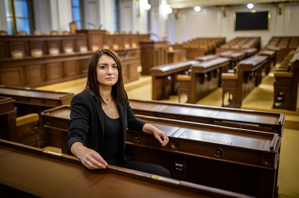 Cesta k levnějším potravinám? Piráti prosadili podporu rodinných farem a konec dominance agroholdingů