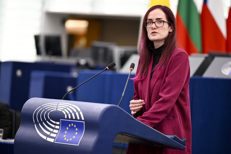 Marketa Gregorova plenary